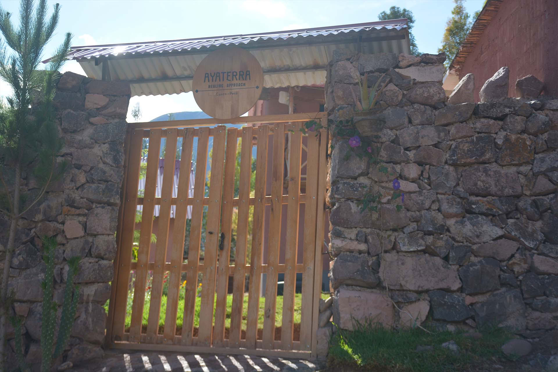 Ayahuasca- og San Pedro-retreat 3 dage