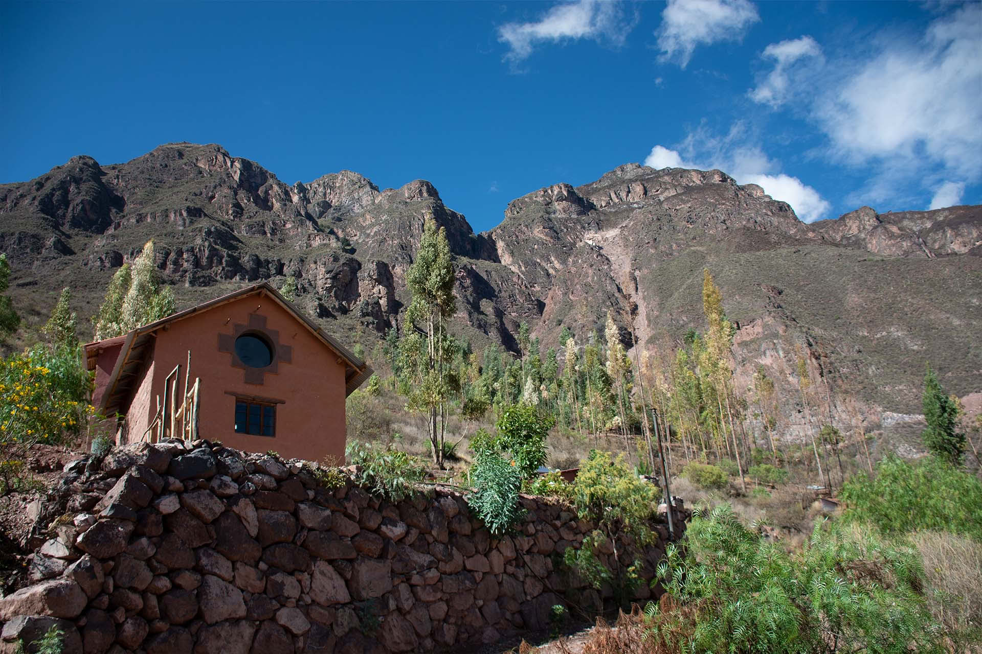Ayahuasca- og San Pedro-retreat 3 dage