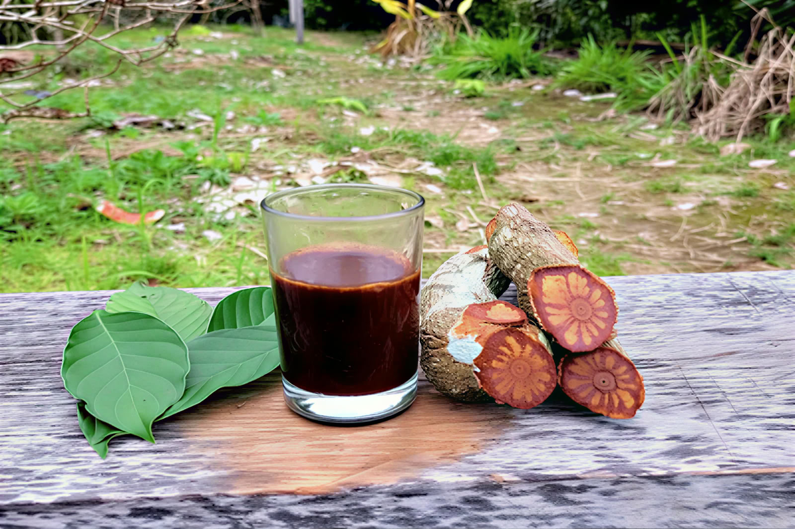 1-dags ayahuasca-retreat