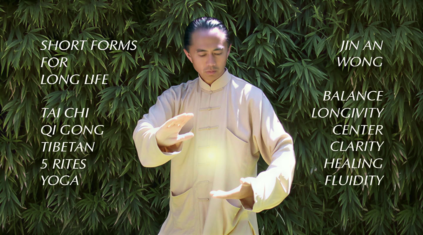 Tai Chi Tao: Korte former for et langt liv med Jin An Wong