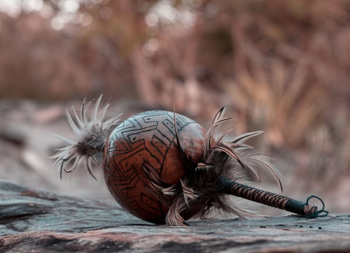Hampi Yaku — Hellige planteteer