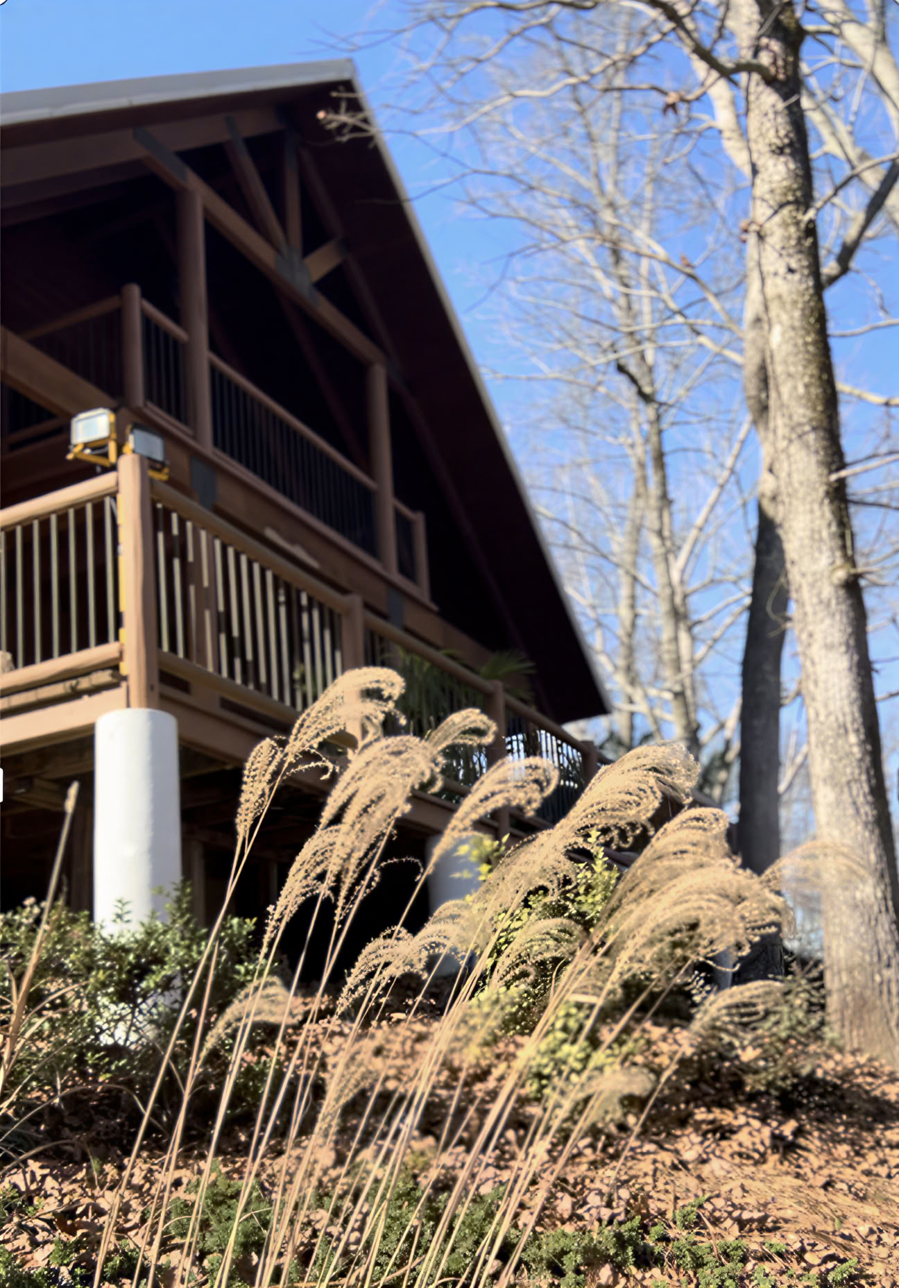 Fælles wellnessoplevelse i Paradise Park ATL