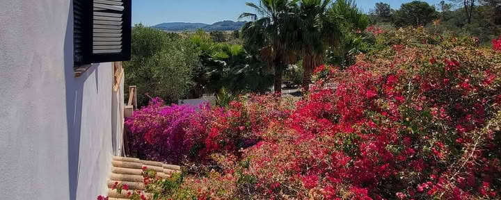 Mallorca-retreat