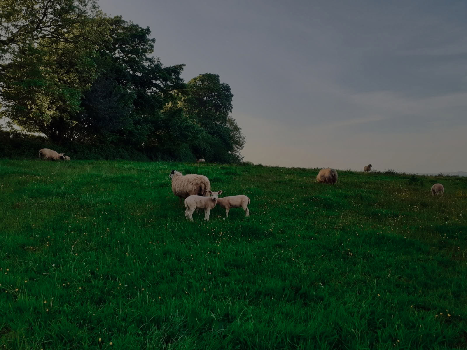 Sharpham Trust Retreat