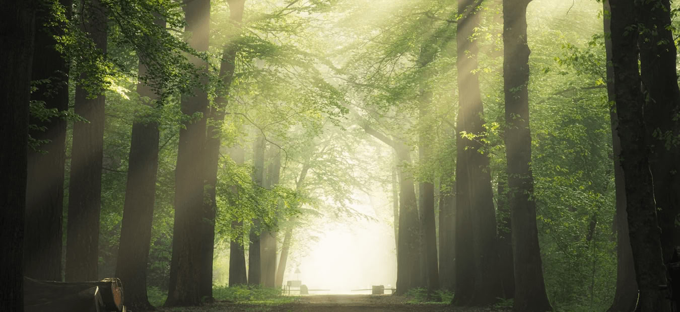 Lydhealing-immersion: Harmoniser sind, krop og sjæl