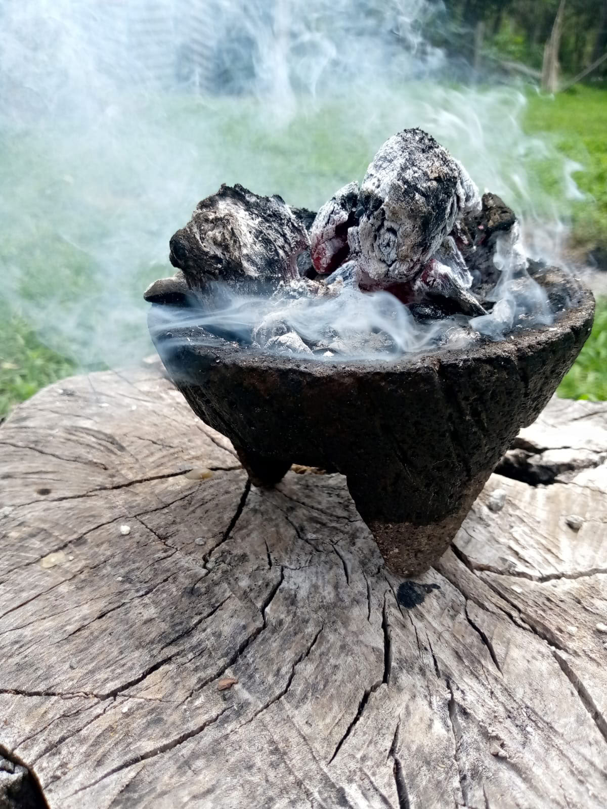 Privat Ayahuasca-/San Pedro-ceremoni