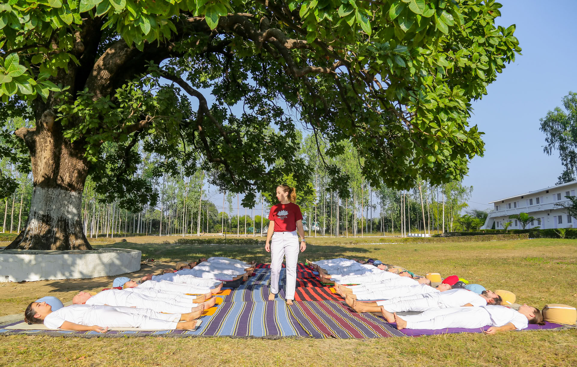 Lær yoga i Indien med en 200-timers læreruddannelse