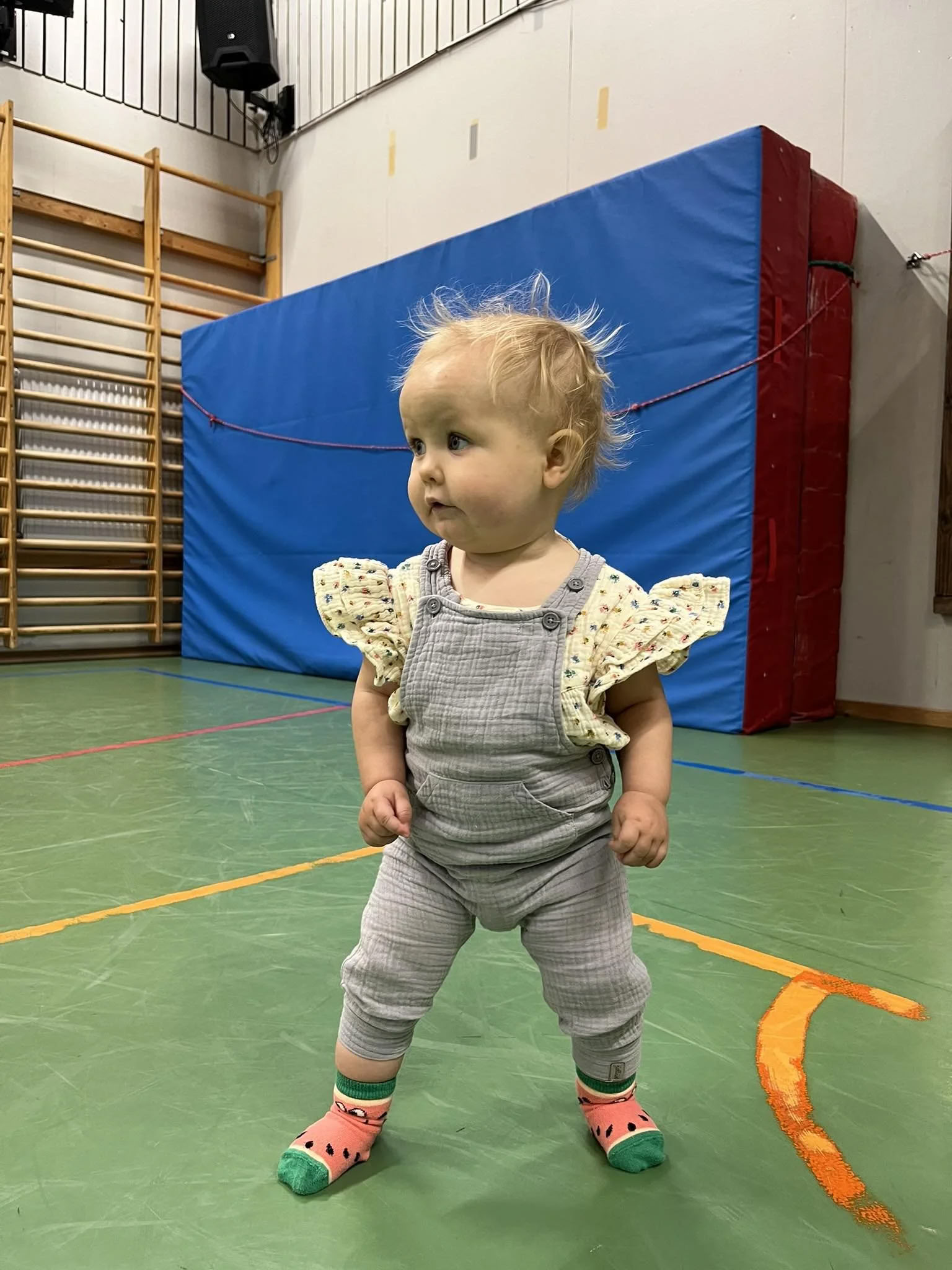 Mini-gympa