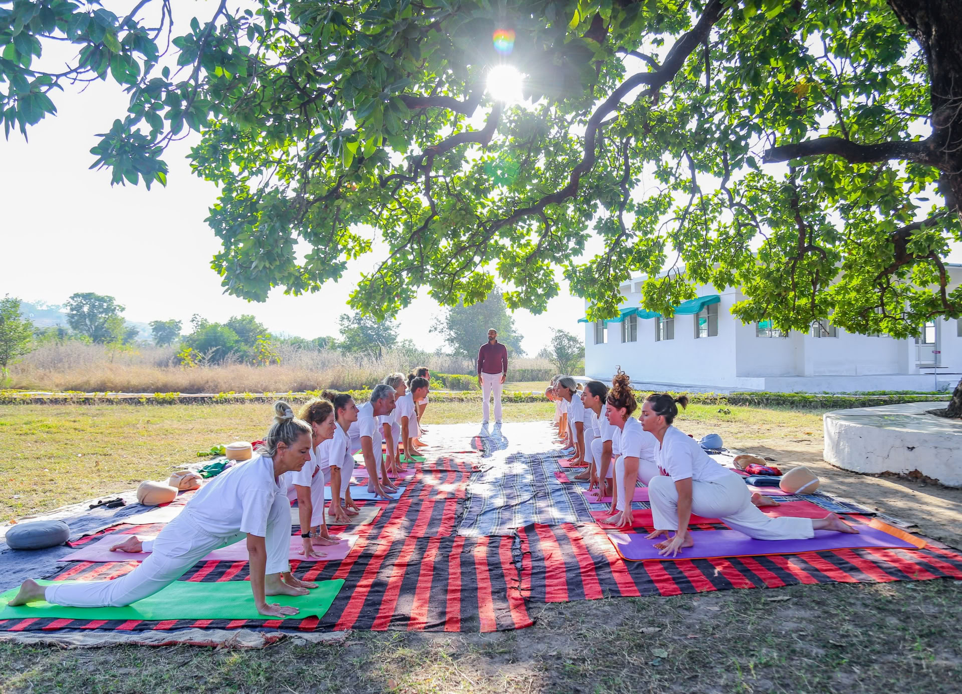 Skab et solidt fundament: 200-timers yogacertificering i Indien 2026