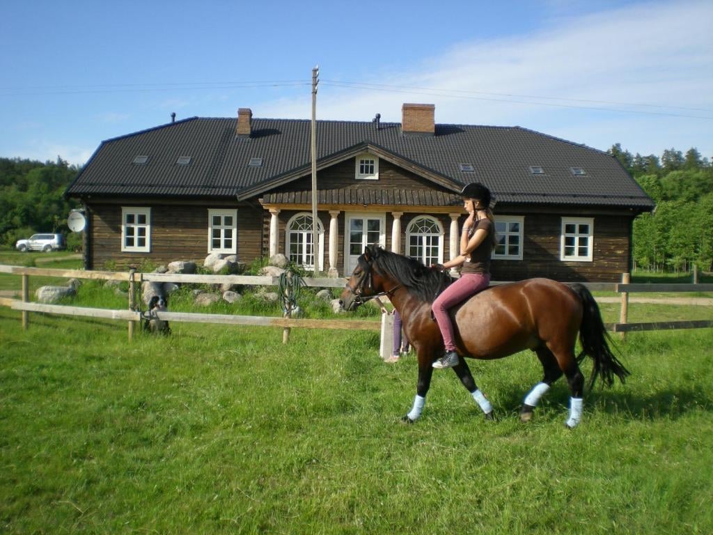 Gamle Mayflower