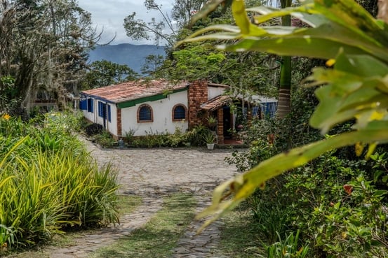 Harmonika Ayahuasca-retreat