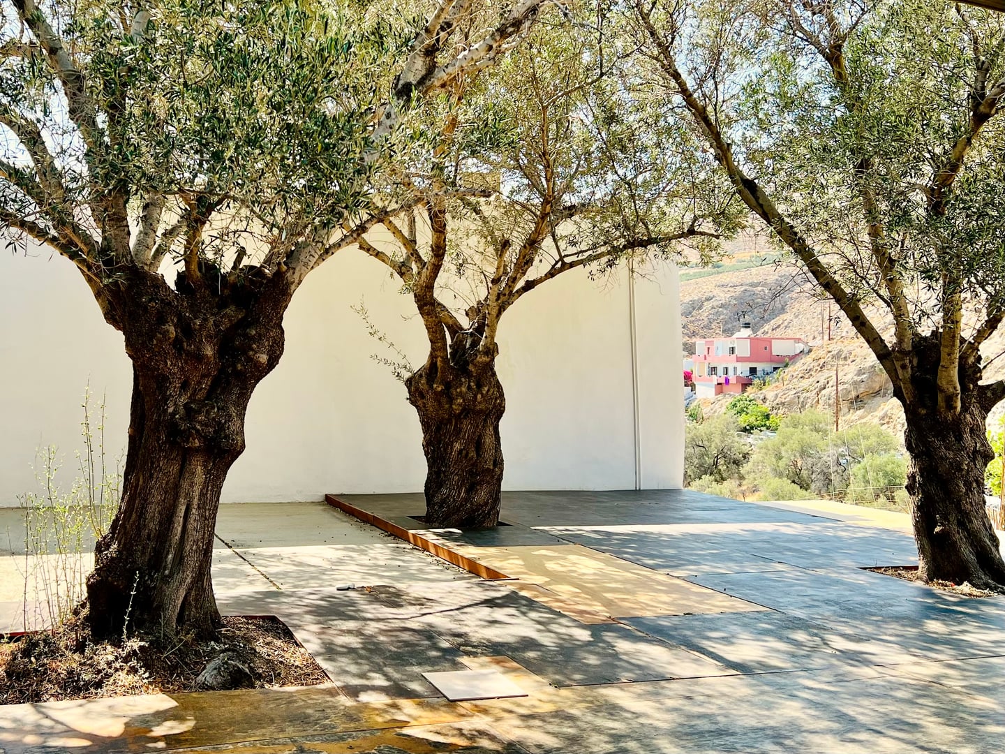 Yoga på Kreta