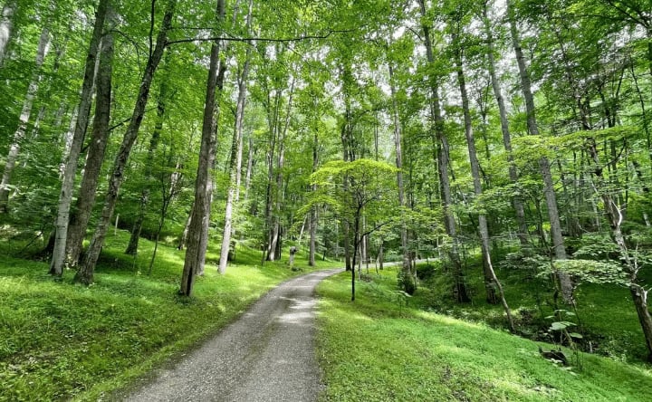 Retreatcenteret Sanctuary