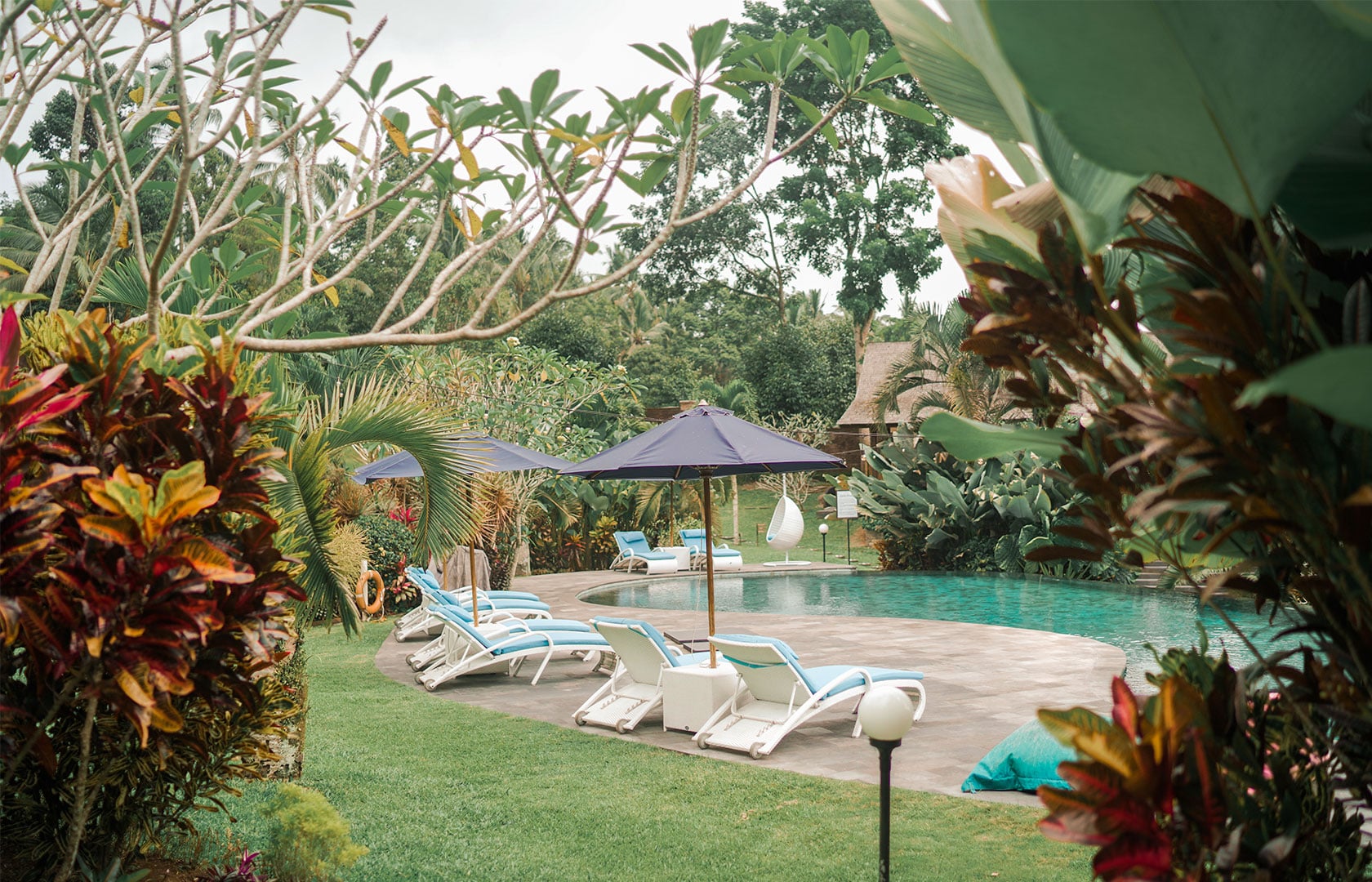 Bali-palmer
