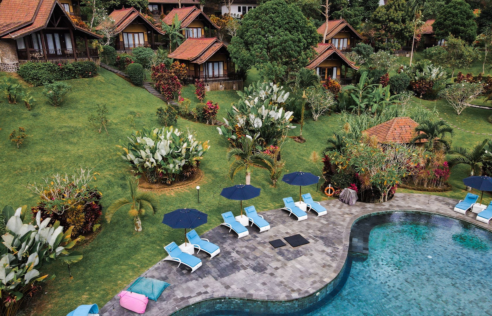 Bali-palmer