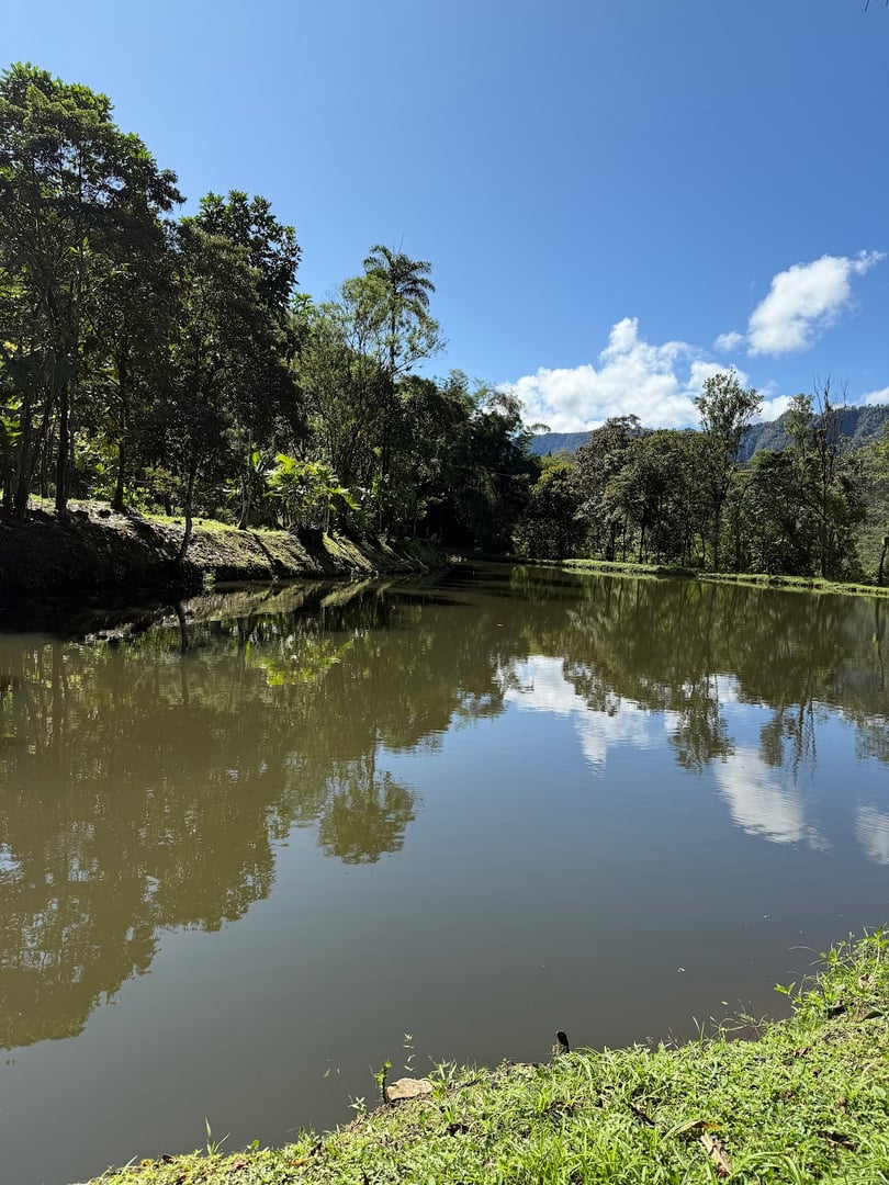 Hayulima: Spirituelle og plantemedicinske retreats