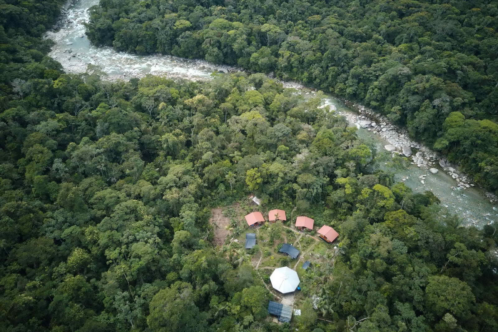 Fjerkrone Ayahuasca Ecuador
