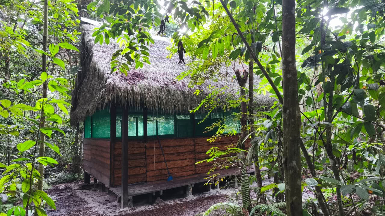 Naturalia retreat center | Ayahuasca-retreat i Peru