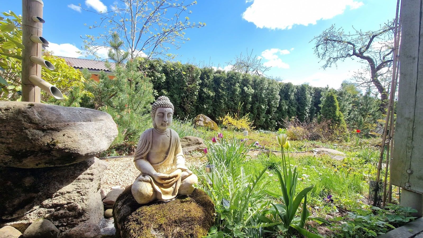 Meditationscenter Ojas, resort / OJAS Meditationscenter Resort