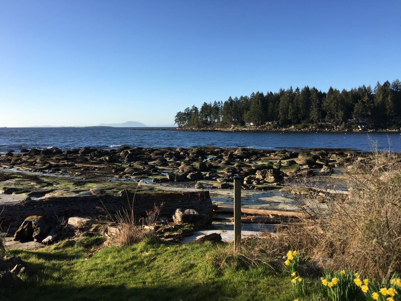 Haven
