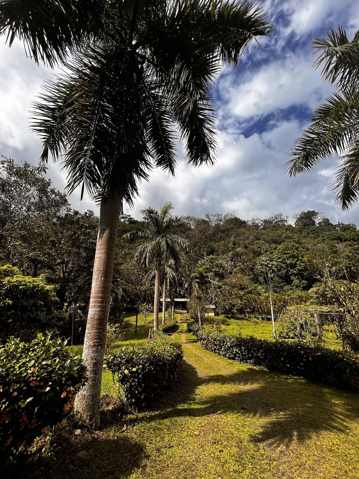Finca Divina Vida