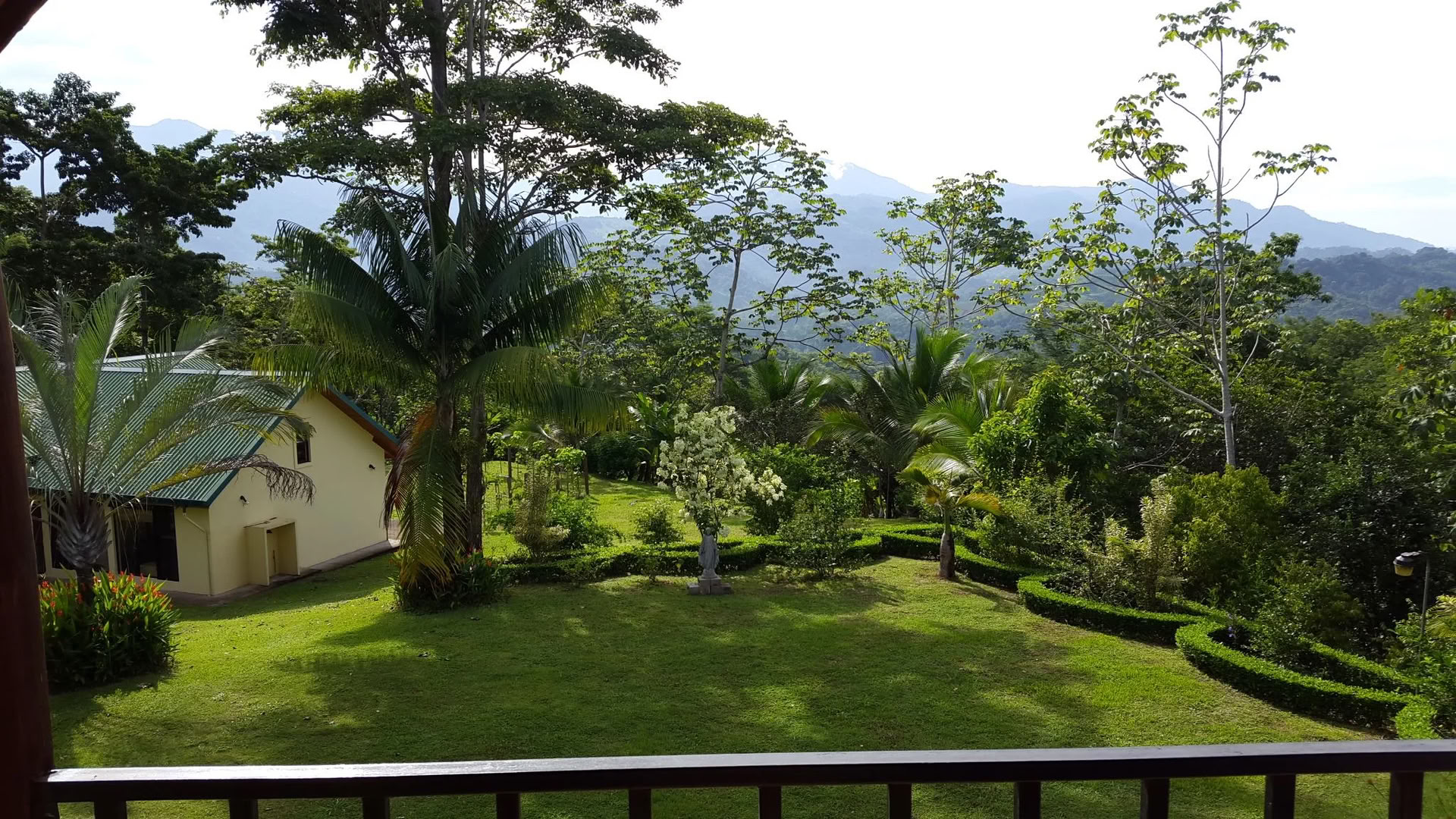 Finca Divina Vida