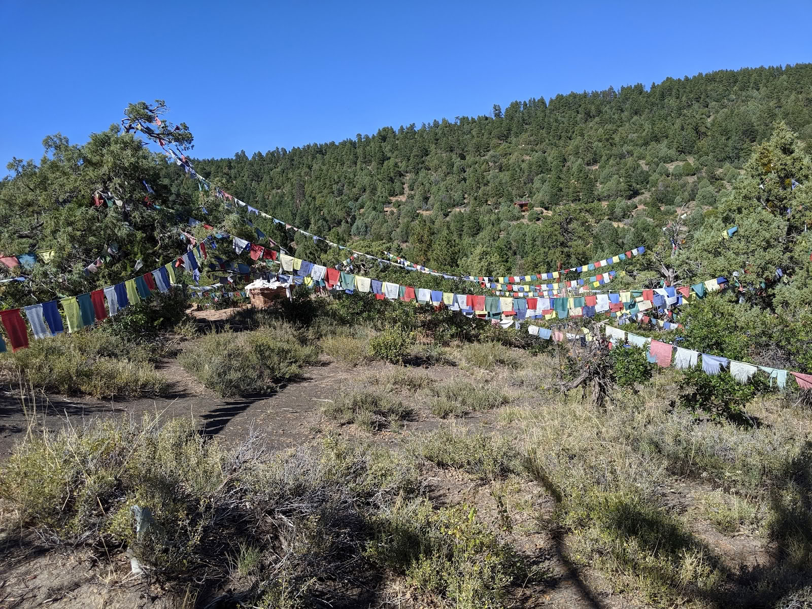 Tara Mandala buddhistisk retræte
