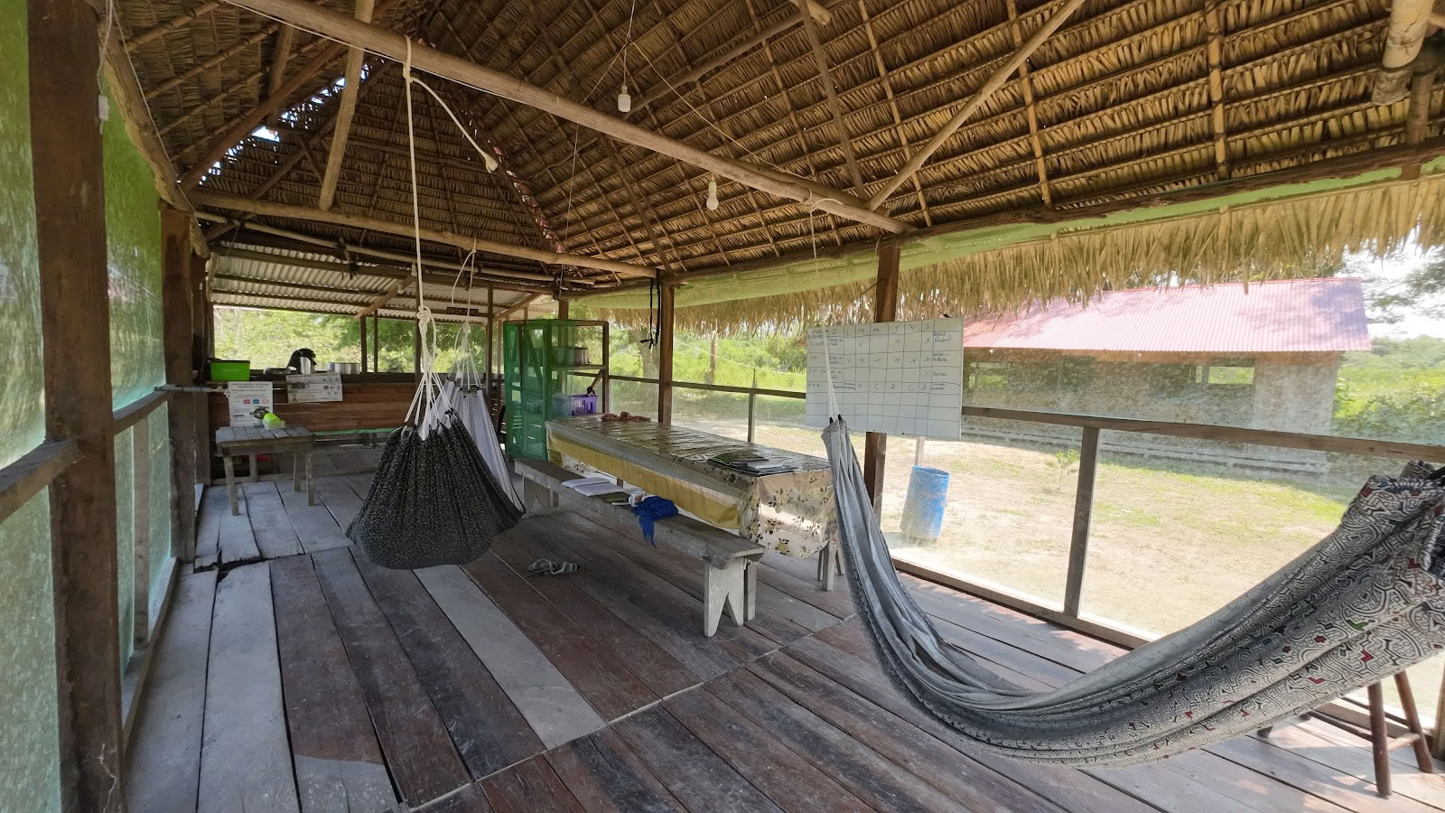 Shipibo Ayahuasca- og shamanismegrundlag