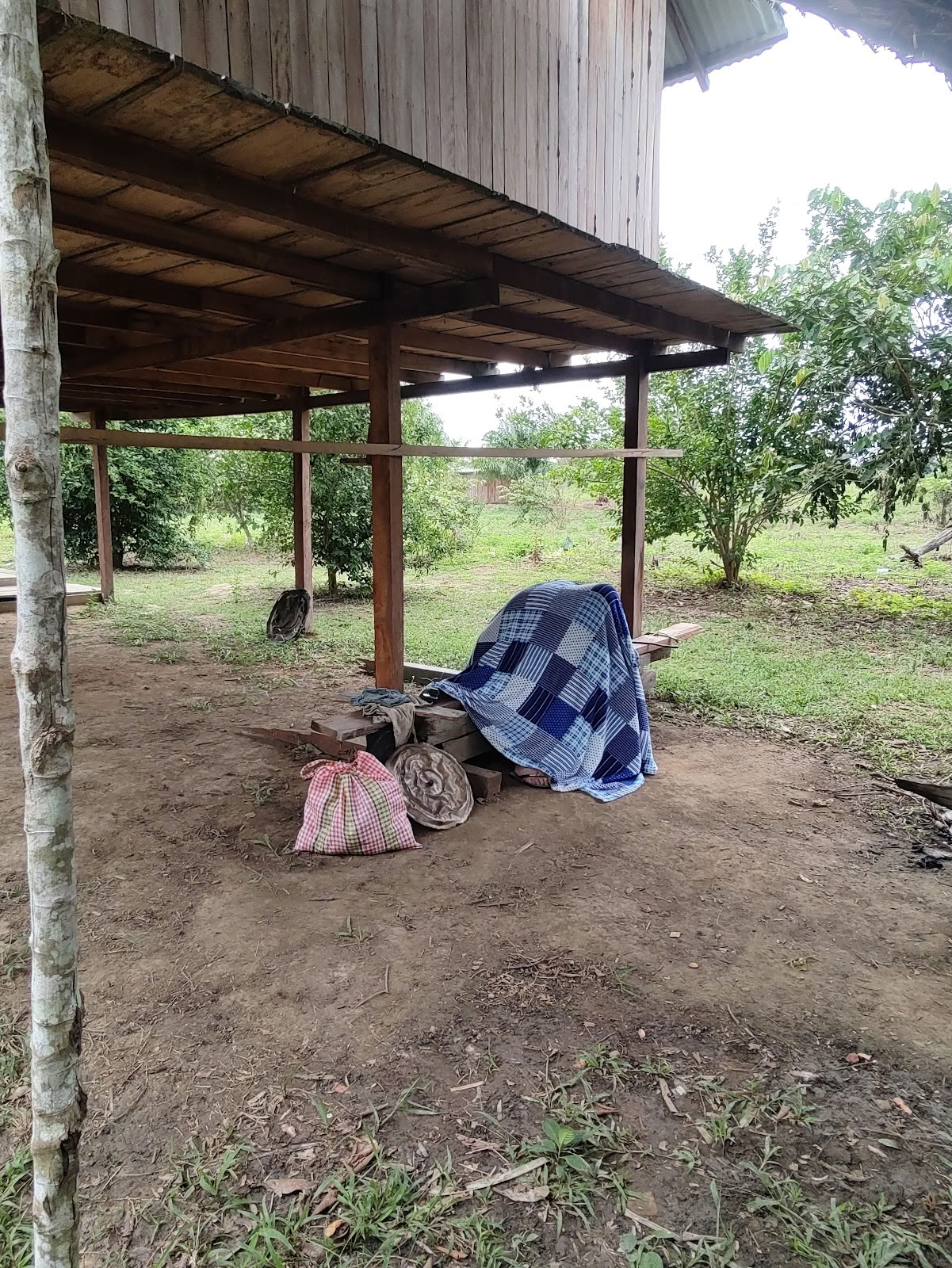 Shipibo Ayahuasca- og shamanismegrundlag