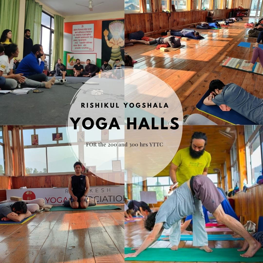 Rishikul Yogshala Rishikesh - Yogalæreruddannelse i Rishikesh, Indien