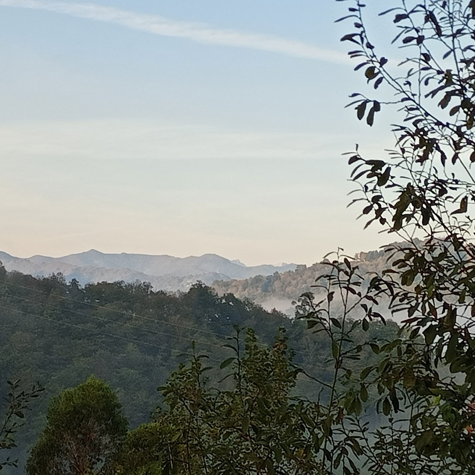 Drageflue Chi Kung