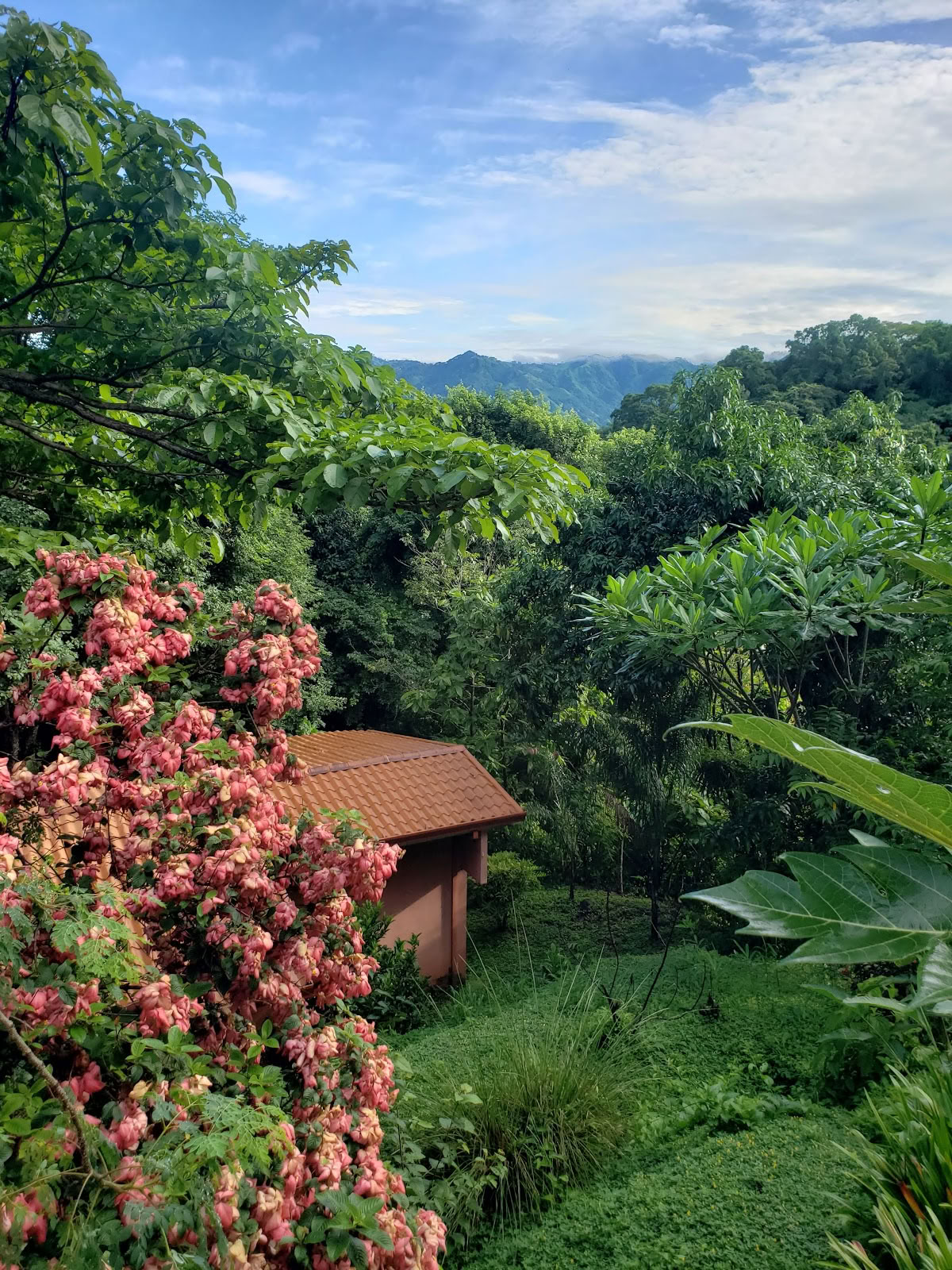 AmaTierra Yoga-retreat og wellnesscenter