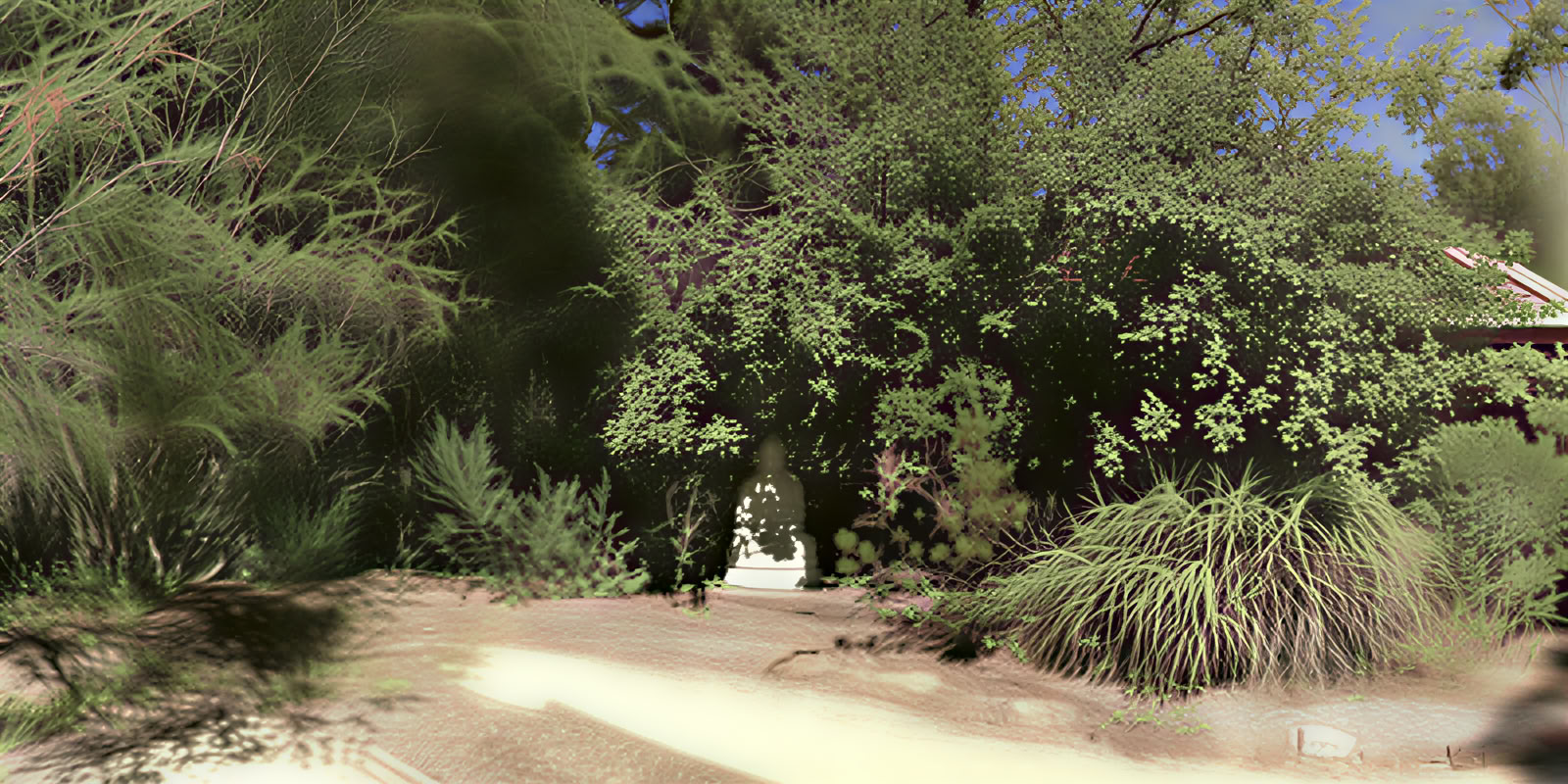 Blue Mountains Indsigtmeditationscenter