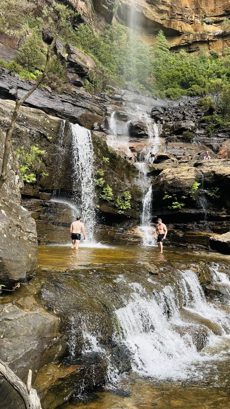 Blue Mountains Indsigtmeditationscenter