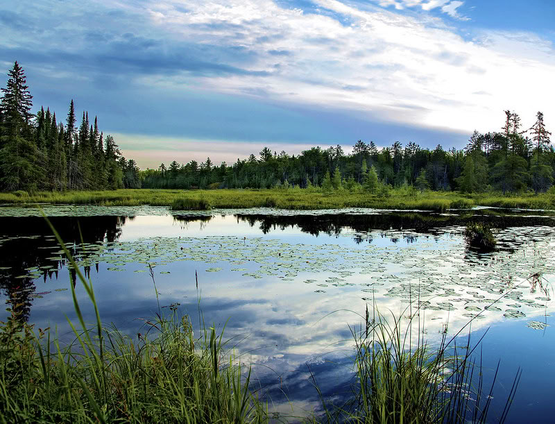 Dharma-centret i Canada
