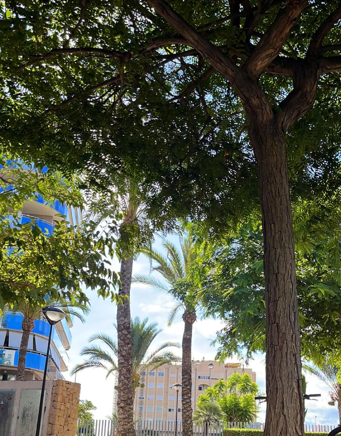 REVIVE RETREATS & FITNESS af Bomba Fitness Campello