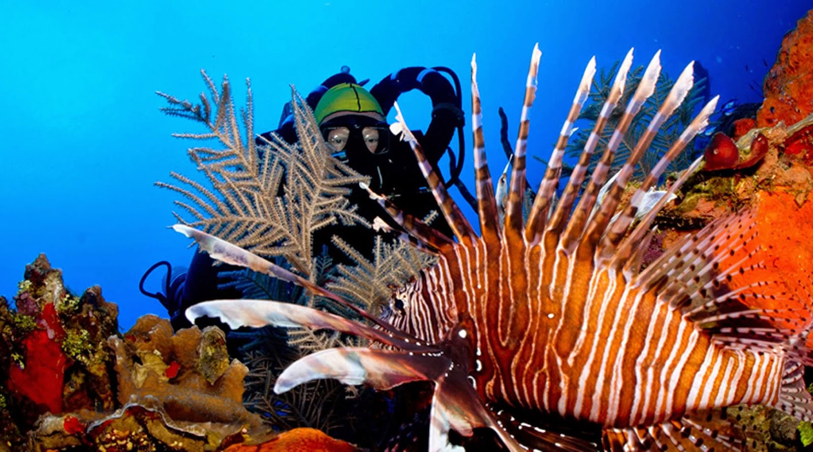 Oceanic Ventures, Inc.