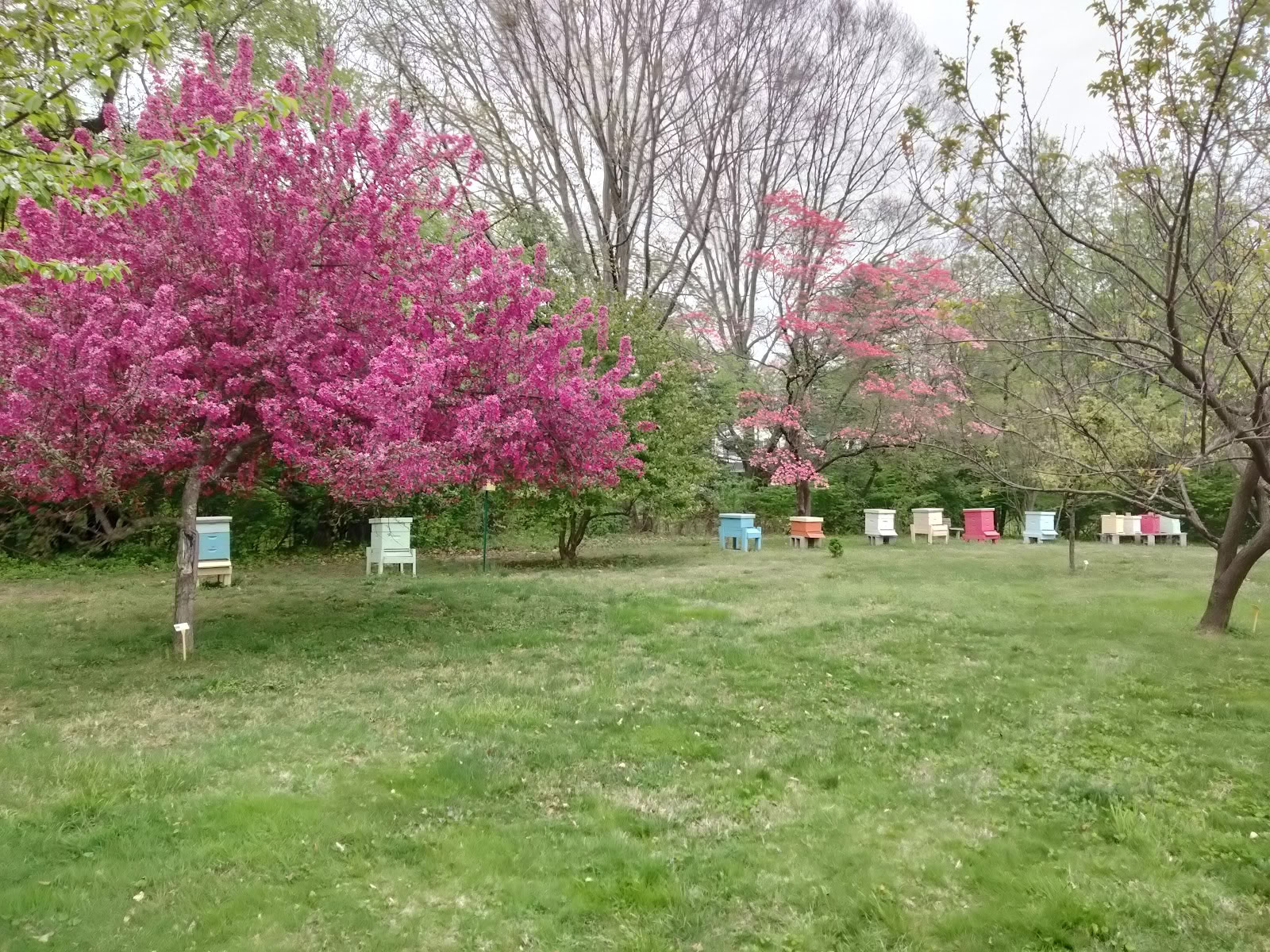 Cranaleith Spirituelt Center
