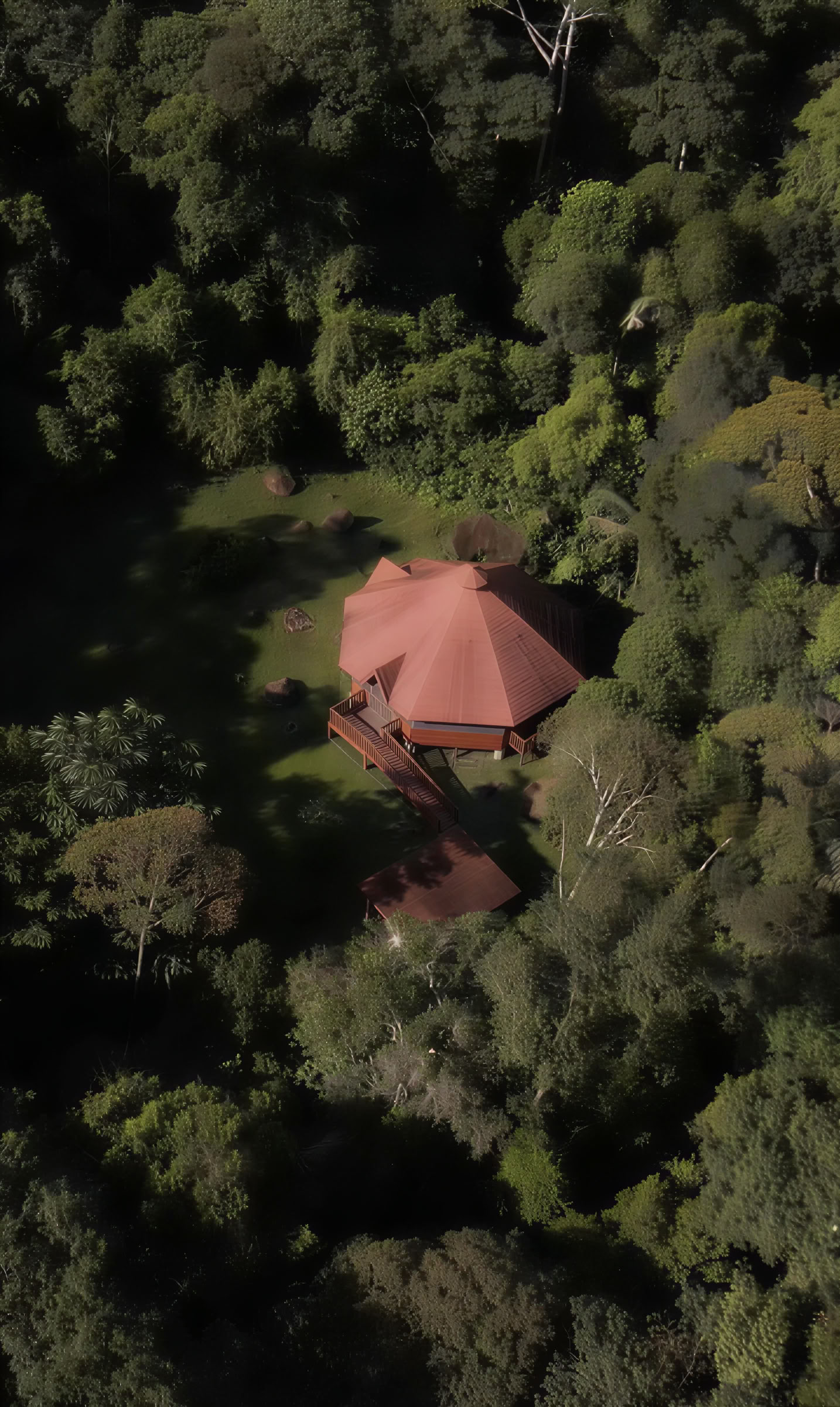 Jungle Harmony - Ayahuasca-retreats Yagé