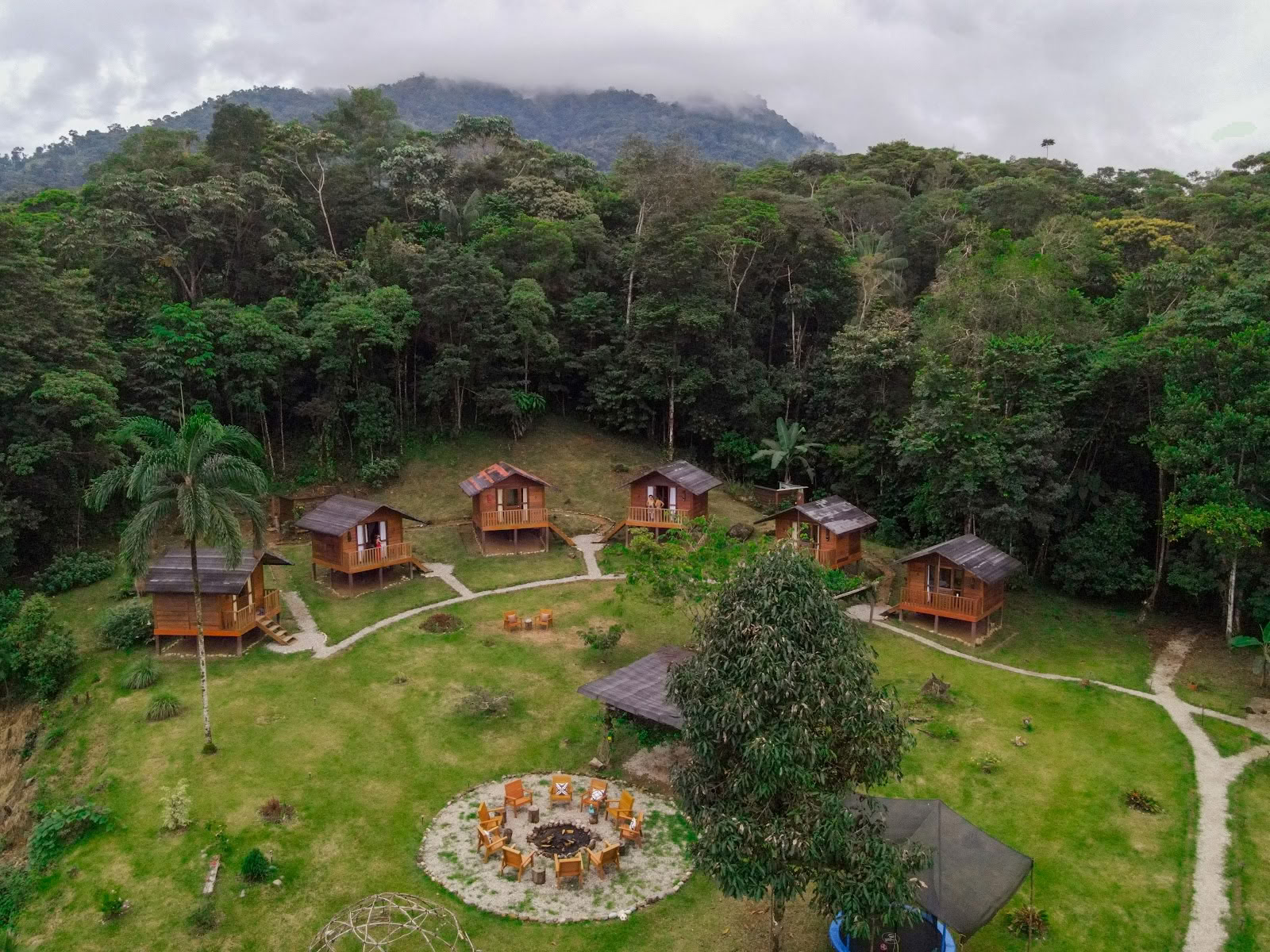 Jungle Harmony - Ayahuasca-retreats Yagé