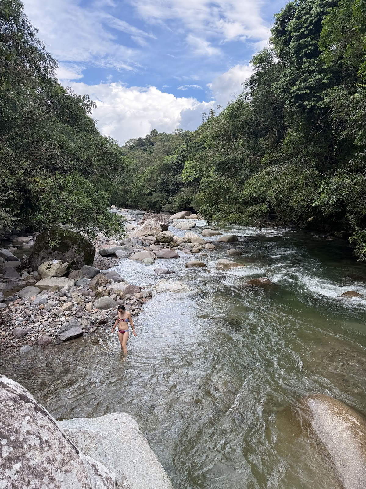 Jungle Harmony - Ayahuasca-retreats Yagé