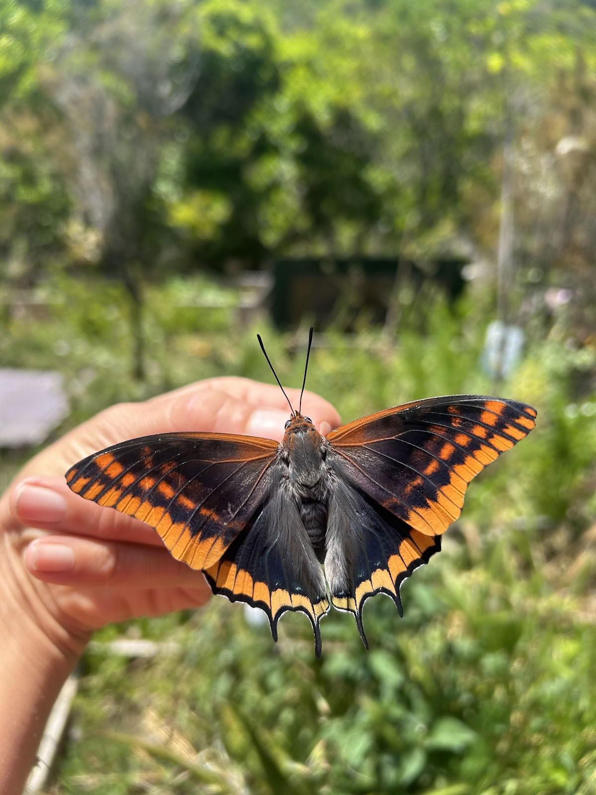 Essencia Naturretreat