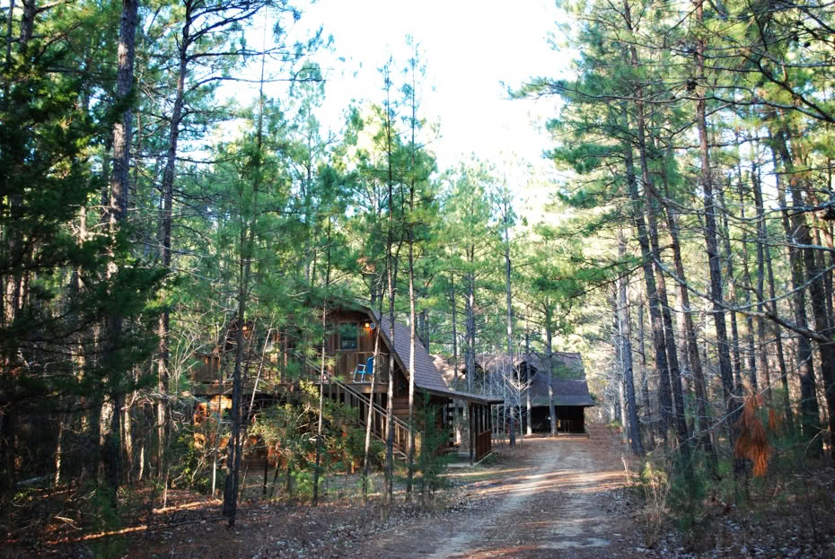 Retreat i fyrreskoven