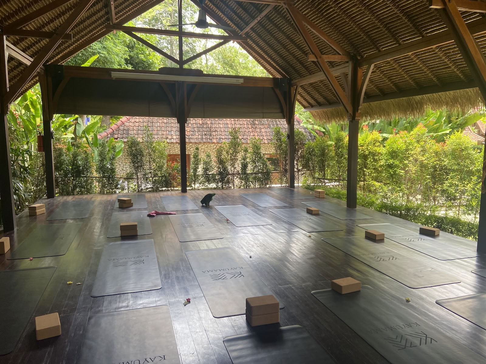 SoHA School of Healing Arts - Yogalæreruddannelser