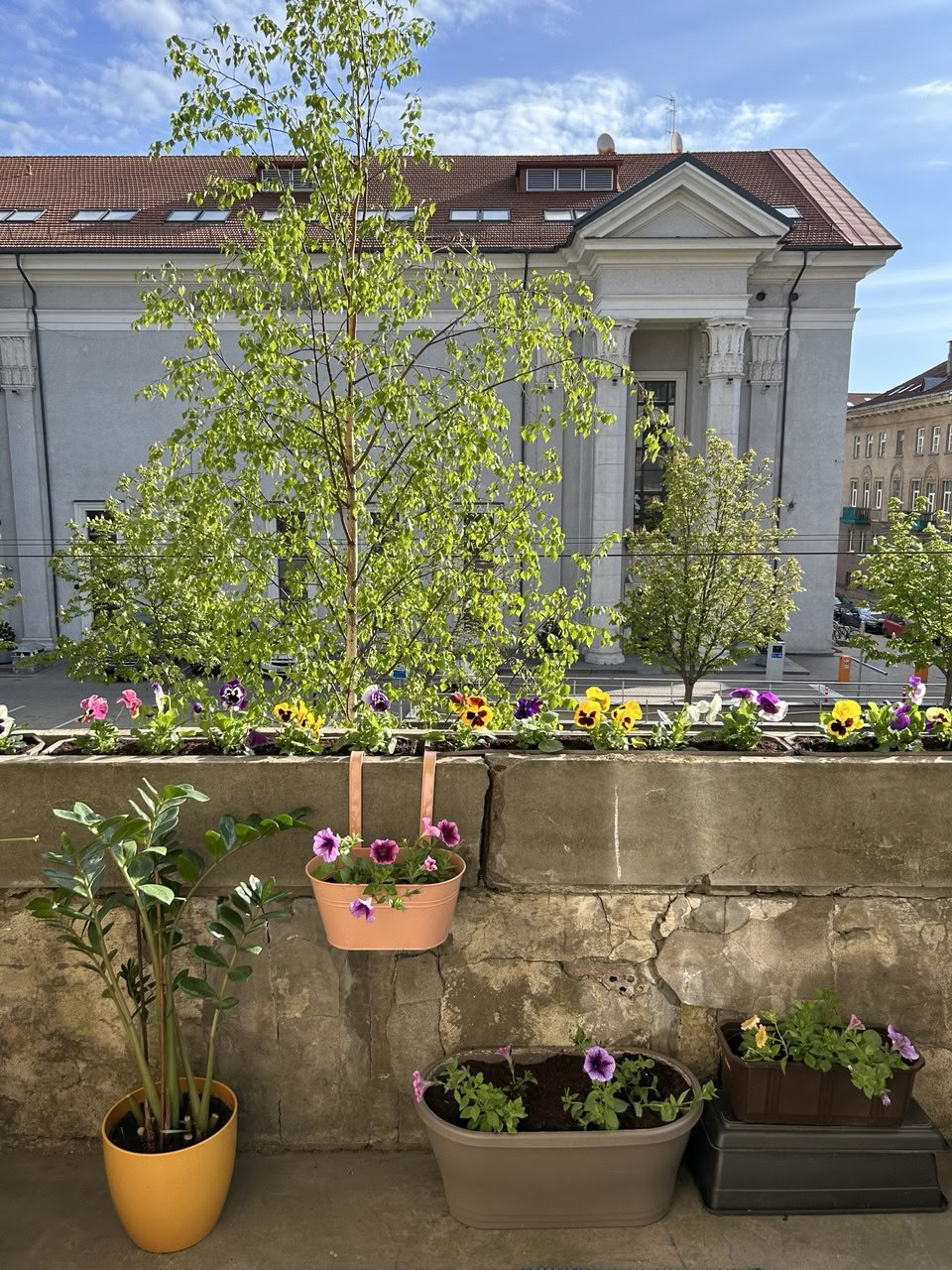 Sivananda Yoga Vedanta Center i Vilnius