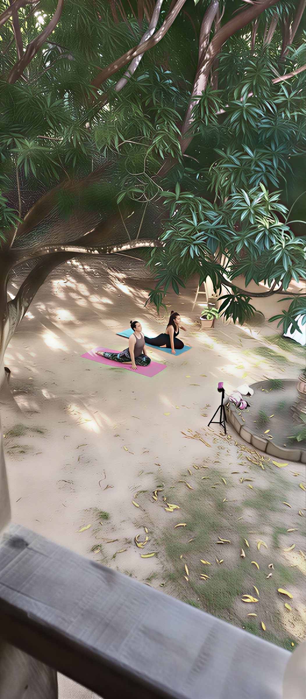 Gambhira Øko Yoga Landsby Santa Marta