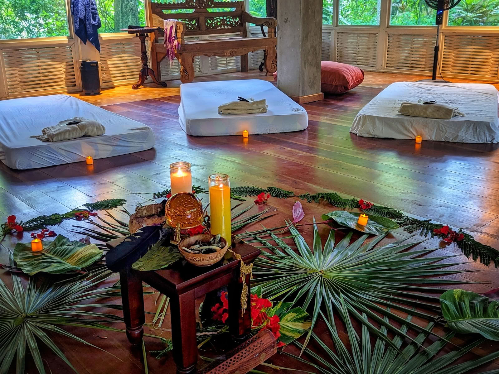 ONE Retreats | Psilocybin-svampe-retreats