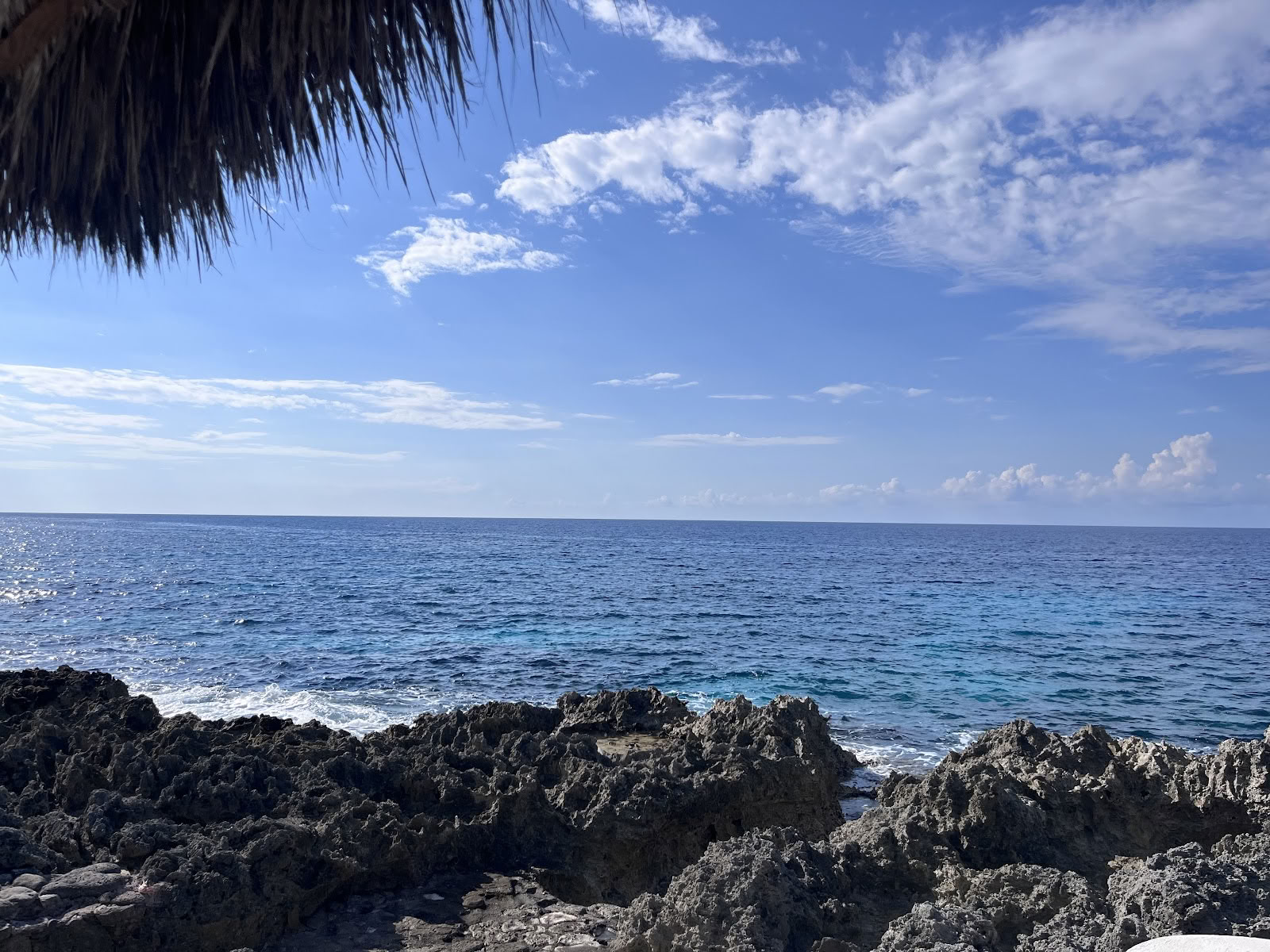 ONE Retreats | Psilocybin-svampe-retreats
