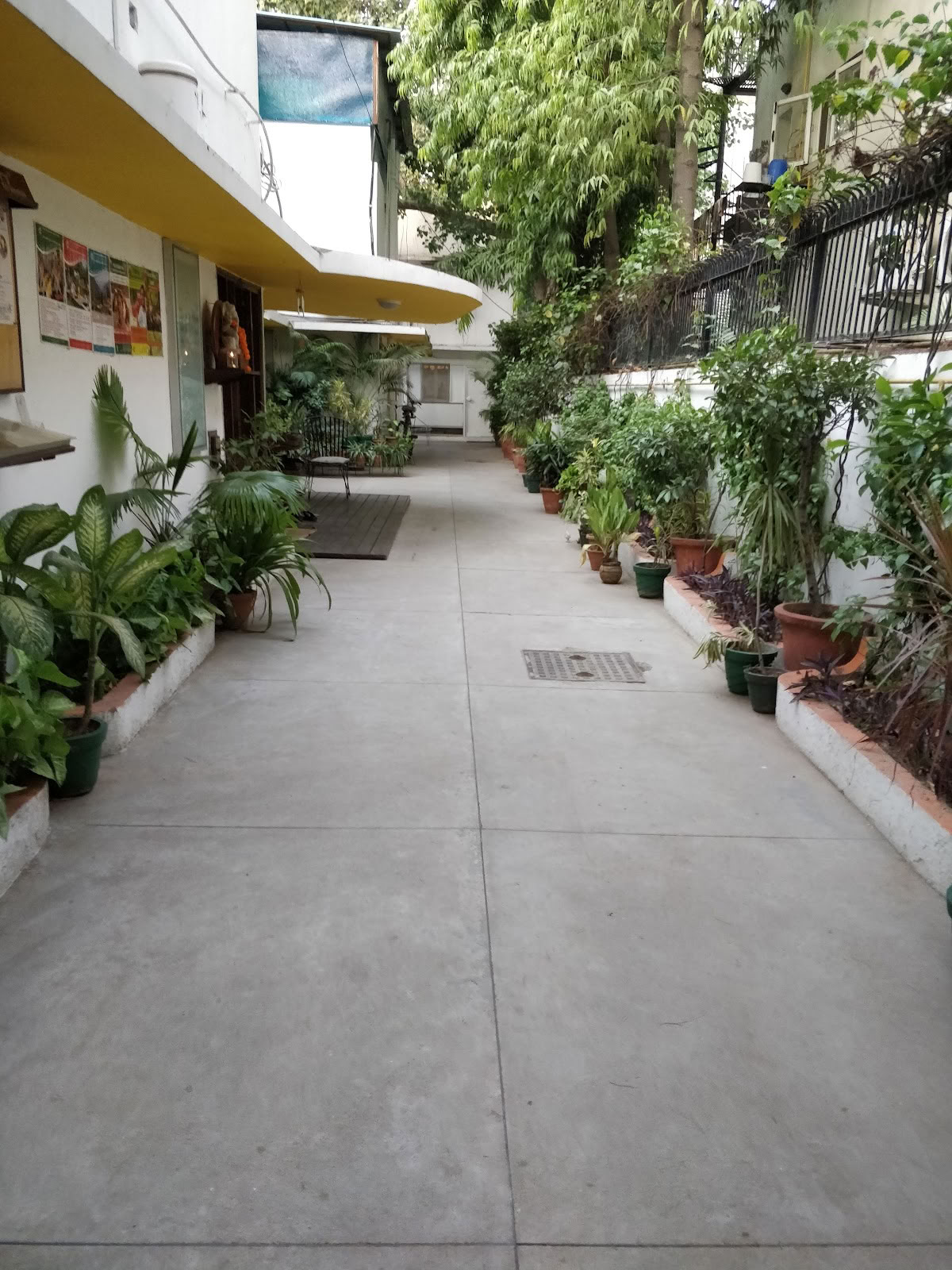 Sivananda Yoga, Syddelhi