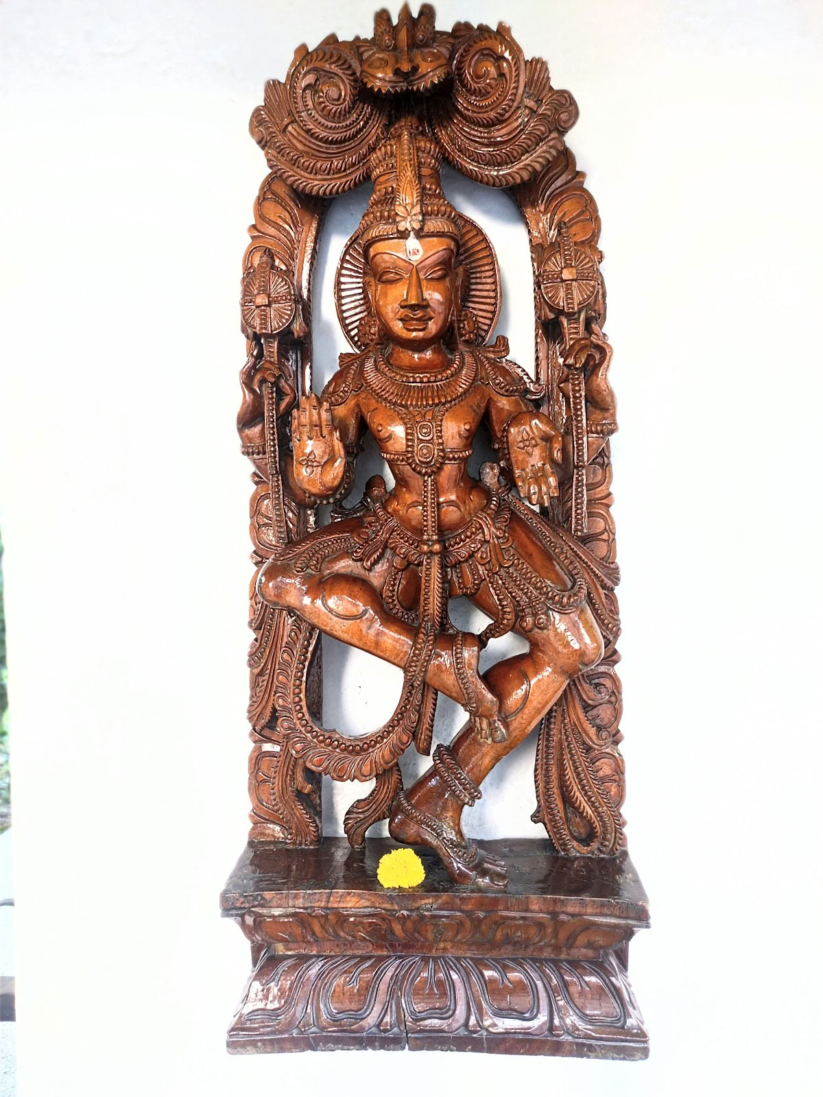 Sivananda Yoga, Syddelhi